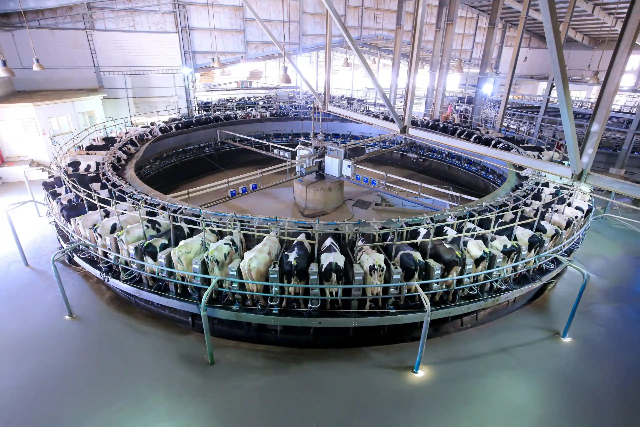 Juhayna Enhances “Enmaa” Farm Capabilities by Upgrading the Rotating Parlor with Cutting-Edge Technologies