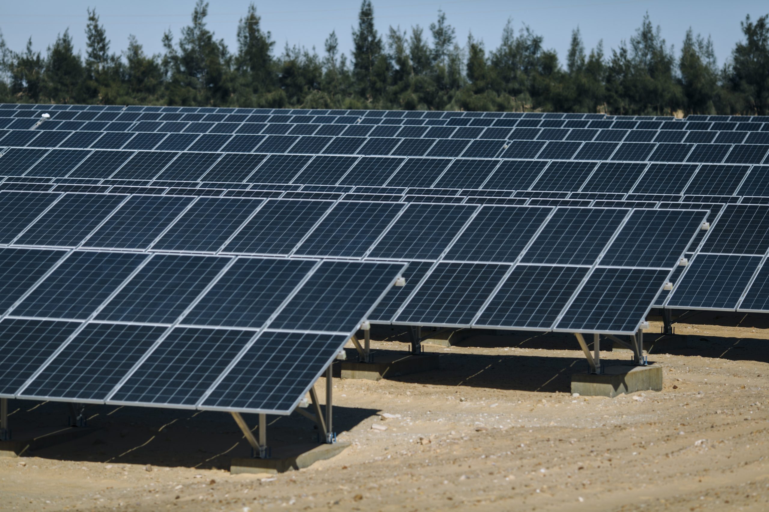 Juhayna Publishes its First Carbon Footprint Report