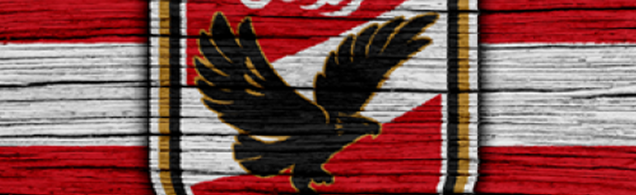 Al Ahly Sponsorship