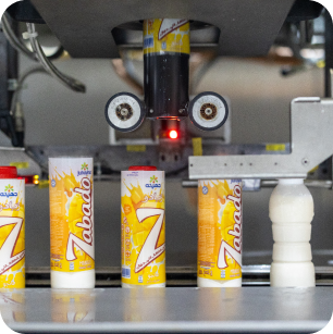 إيجي فود للصناعات الغذائية